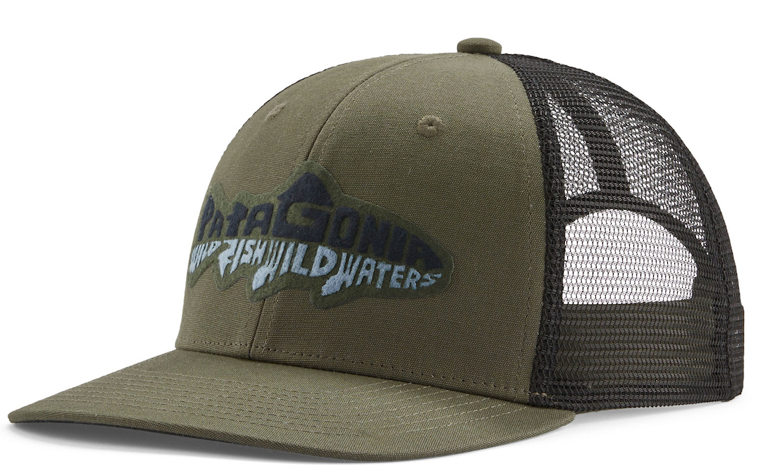 Patagonia discount salmon hat