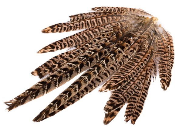 fly tying 100 Cock Pheasant flanc plumes de 2" à 5" Bijoux Artisanat 