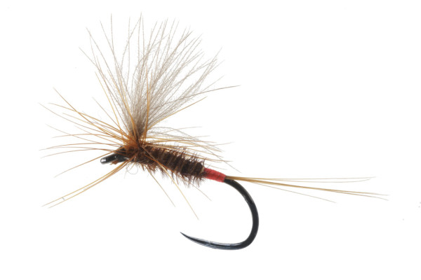 Soldarini Fly Tackle Dryfly - Special CDC Pheasant Tail Red Tip Parachute