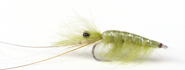 Guideline Sea Trout Fly Olive CDC Shrimp