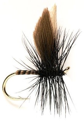 Fulling Mill Dry Fly - Traditional Black Gnat