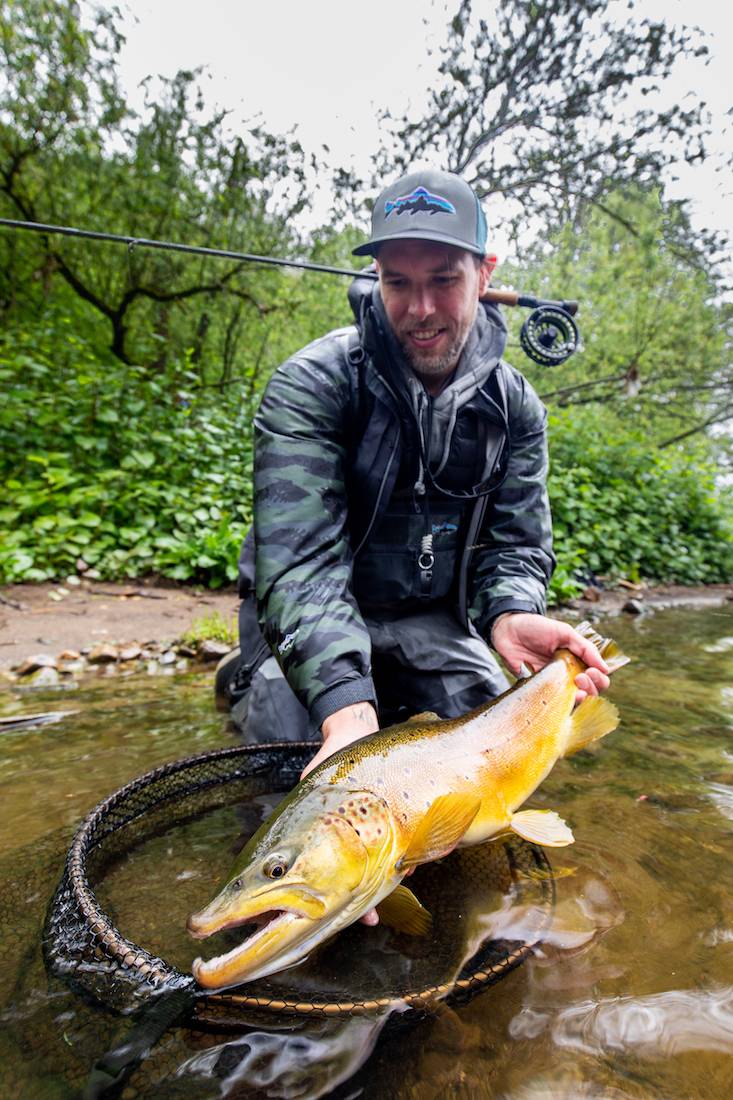 The Best Streamers For Trout adhfishing