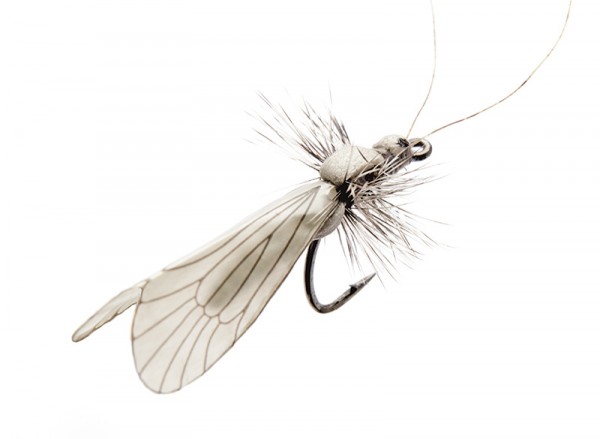 J:son Realistic Flies - Caddis Adult ash grey, Realistic Flies, Flies