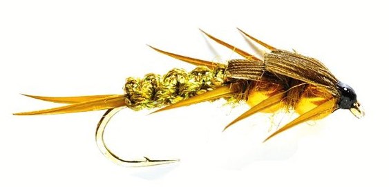Fulling Mill Nymph - Golden Nugget Creeper olive