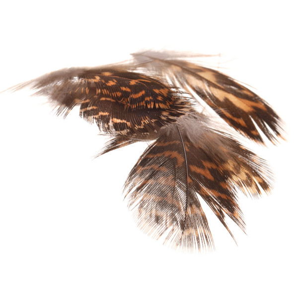 Soldarini Grouse Feathers