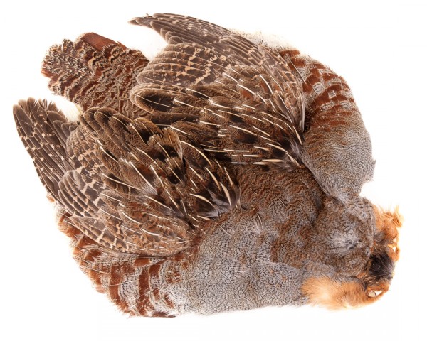 Hareline #1 Hungarian Partridge Natural Skin Cape natural