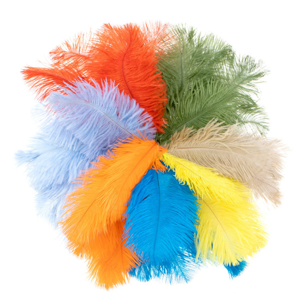 Ostrich Feather big