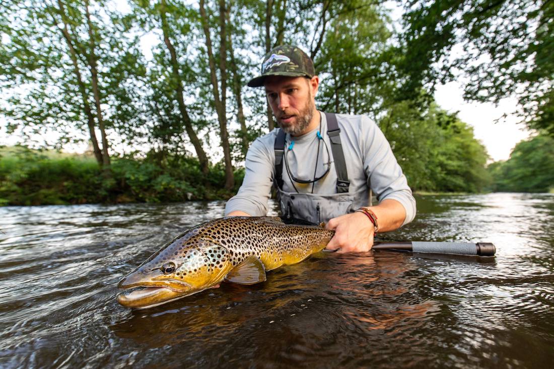The Best Streamers For Trout adhfishing