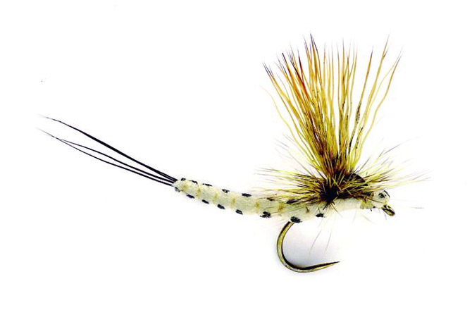 # 8 12. 10 Olive Drake Mayfly; dry fly; extended body; 12 dry flies 