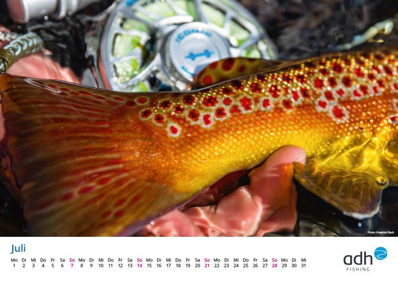 Free Fly Fishing Calendar for 2024 adhfishing