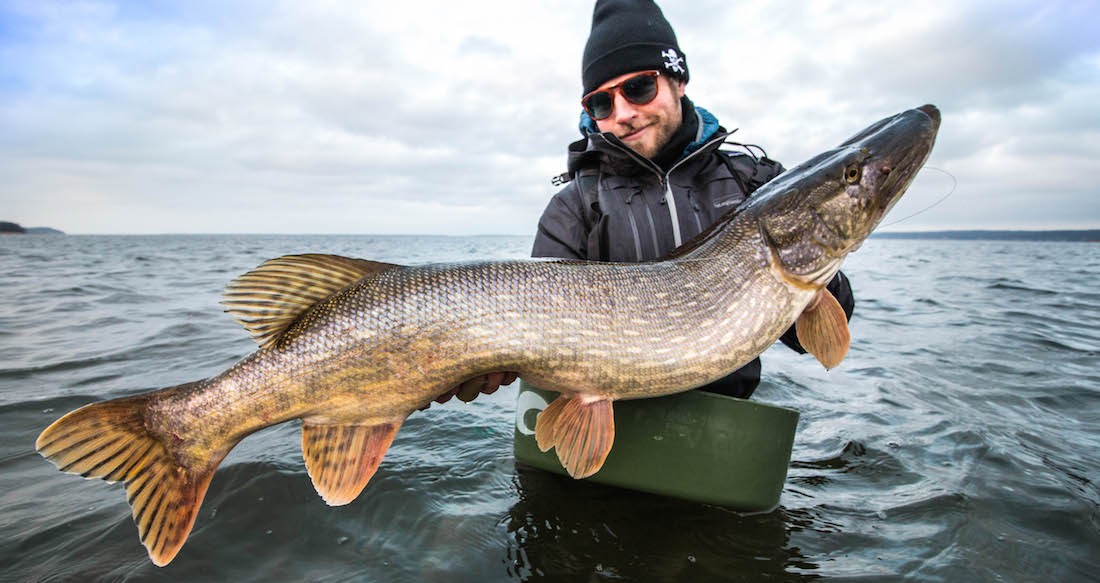 Fly Fishing for Pike adhfishing