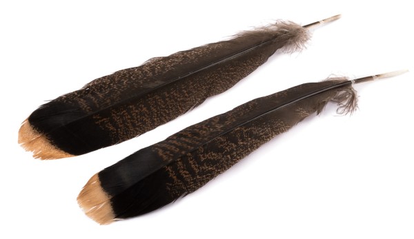 Hareline Cinnamon Tip Turkey Tail Feather