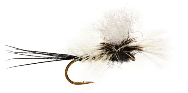 Fulling Mill Dry Fly - Jackie's Spent White Para May Maifliege