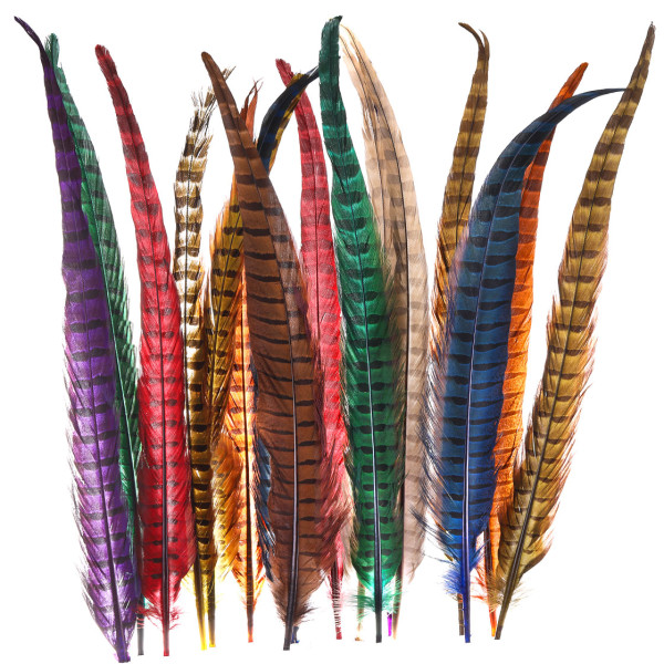 Wapsi Ringneck Pheasant Tail feathers