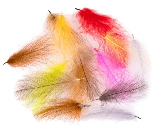 Hends CDC Feathers