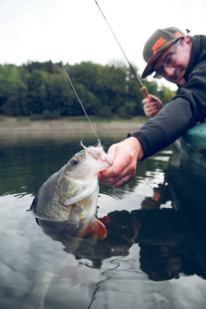 Talking with Steffen Schulz Fly Fishing for Perch adhfishing