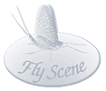 Fly Scene