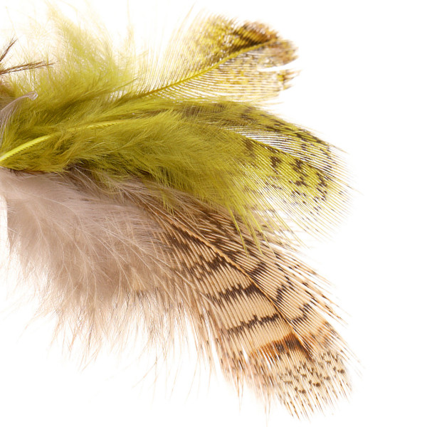 Soldarini Partridge Select Feathers