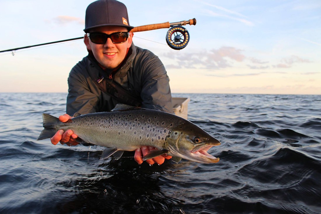 pattegrisen Streamer # 6 Fly fishing sea trout NIGHT FISHING TROUT 3 St