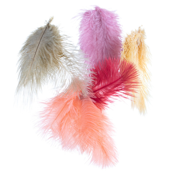 Mini Ostrich Feathers