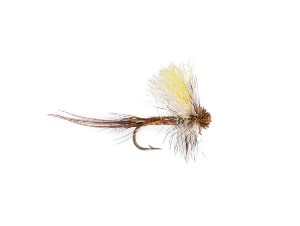 Tailed Dry or Die Dry Fly