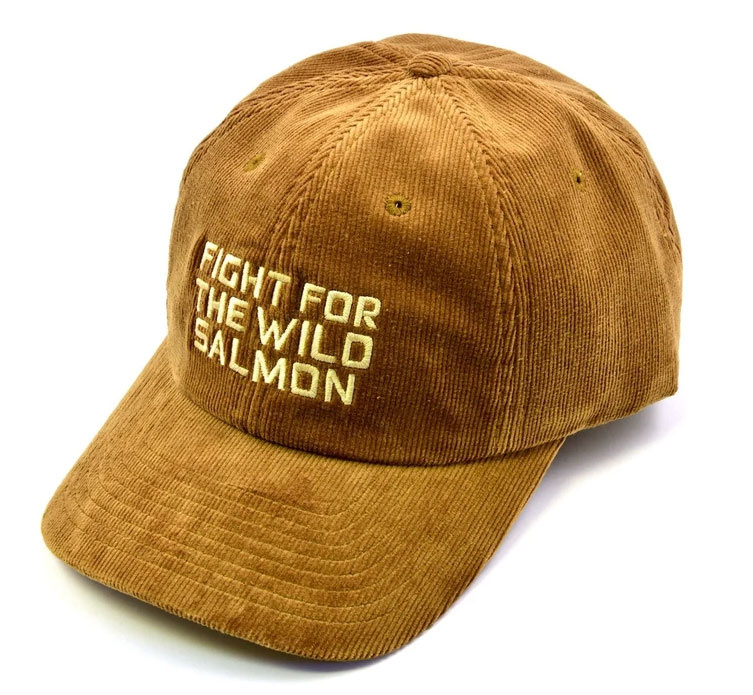 patagonia salmon hat