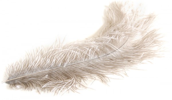 Ostrich feather silver floss