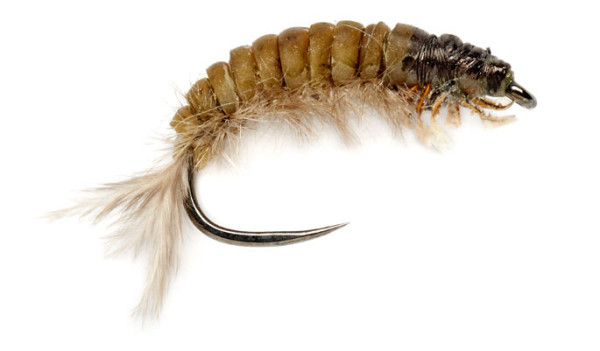Fulling Mill Nymph - Oliver Edwards Hydropsyche Larva