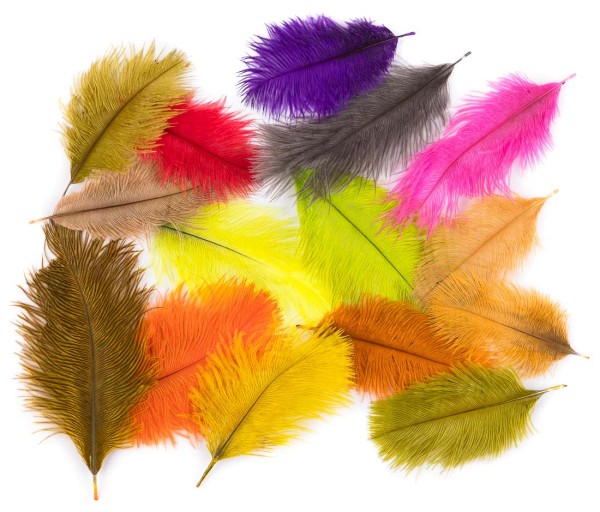 Sebastiani Spey Plumes Ostrich Belly Maribou Craft Art Fly Tying Feathers 