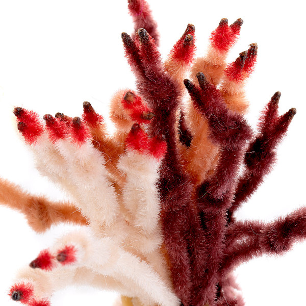 Enrico Puglisi Ep Crab Claw Body Materials Fly Tying Materials Fly Tying Adh Fishing Enrico Puglisi Ep Crab Claw Body Materials Fly Tying Materials Fly Tying Adh Fishing
