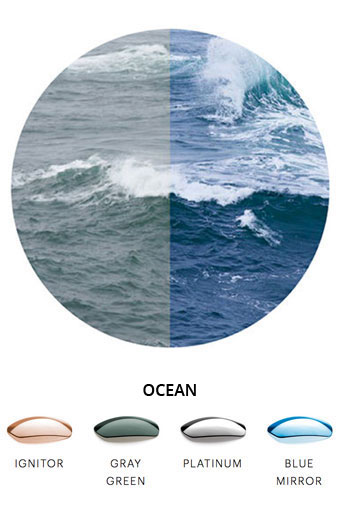 polarization