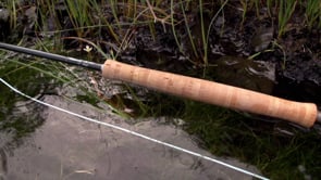 Winston Boron III TH MS Microspey Double Handed Fly Rod
