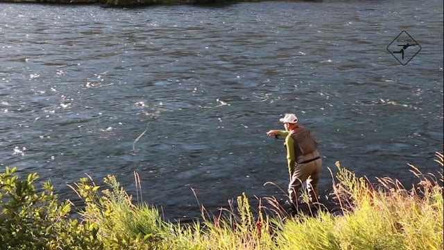 Echo Shadow II Single-Handed Fly Rod