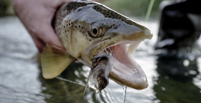 Winston Boron III TH MS Microspey Double Handed Fly Rod
