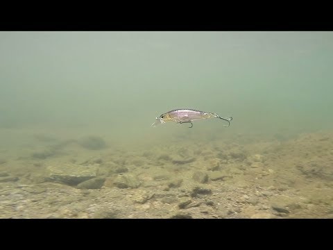 Duo Realis Rozante 77SP