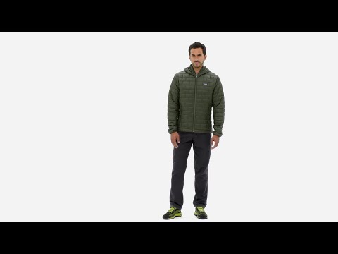 Patagonia Nano Puff Fitz Roy Trout Hoody PrimaLoft Jacket STGN