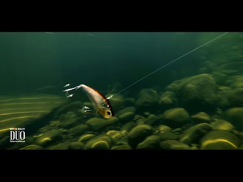 Duo Realis Vibration Nitro 65