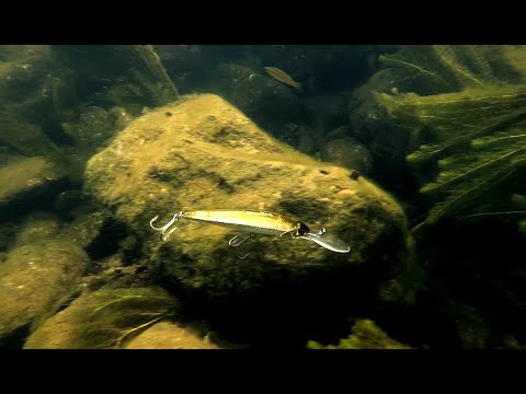 Duo Realis Jerkbait 100DR