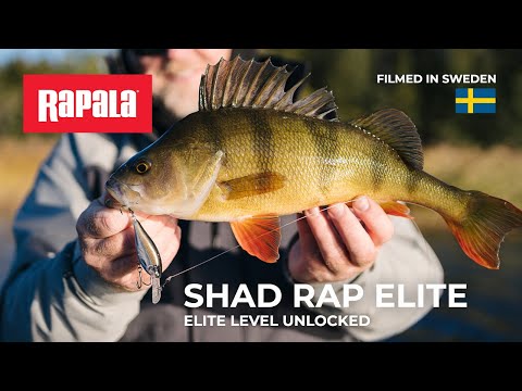 Rapala Shad Rap Elite 7,5 cm