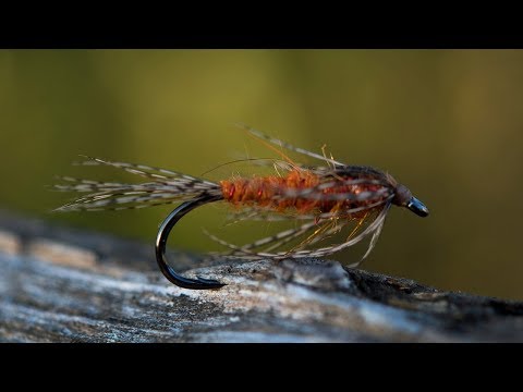 Ahrex FW560 Nymph Traditional Hook