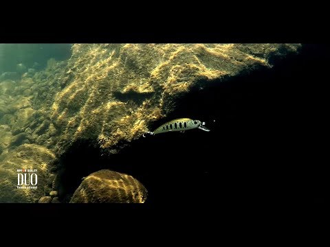 Duo Spearhead Ryuki 70S