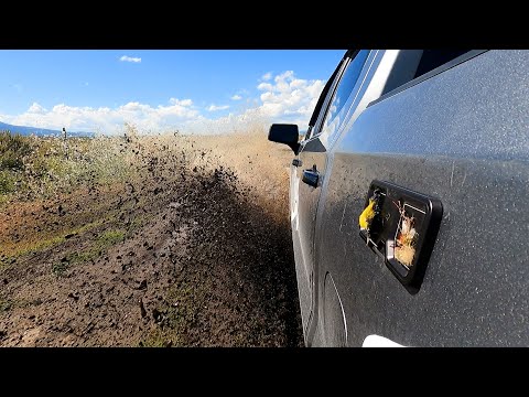 Cling Mag Grab Delta Dry Fly Magnetic fly and universal holder