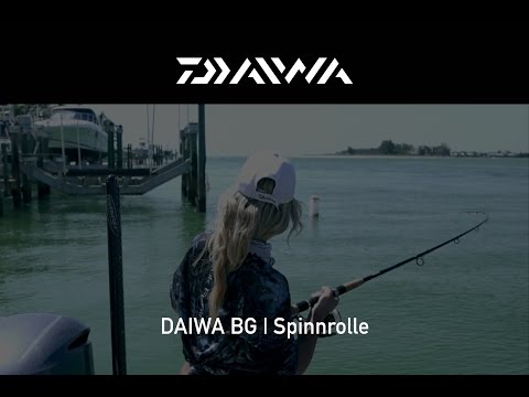 Daiwa BG Spinning Reel