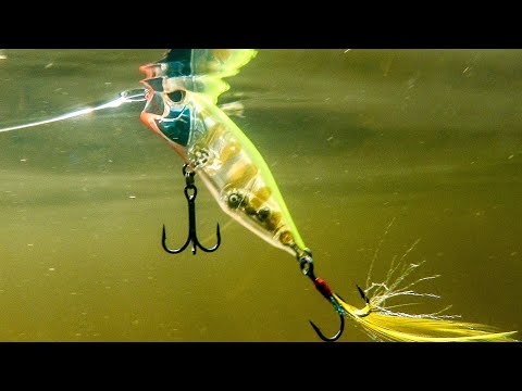Duo Realis Popper 64