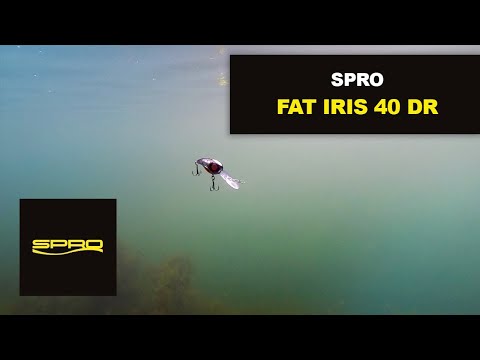 Gamakatsu Spro Crankbait Fat Iris Hardlure 4 cm 6,2 g Deep Runner Slow Floating