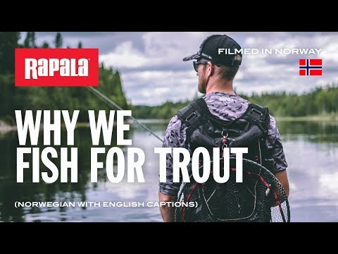 Rapala Countdown 5 cm