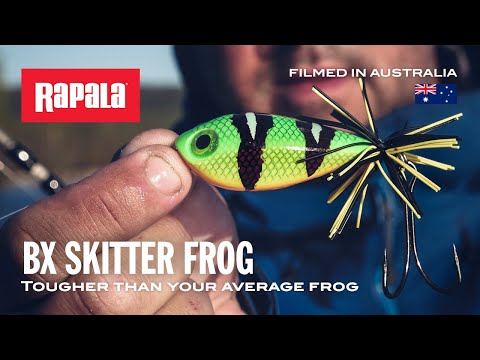 Rapala BX Skitter Frog Topwater