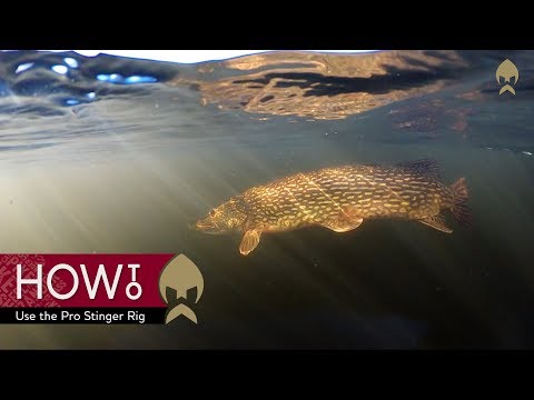 Westin Pro Stinger Double 40,8 kg