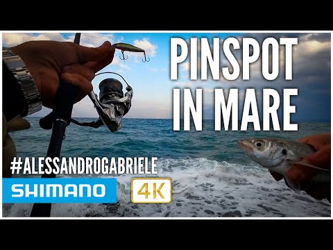 Shimano Cardiff Pinspot 50S Minnow Twitchbait