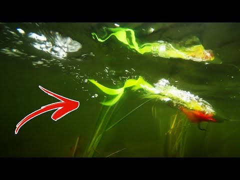 Fish Skull Surface Seducer Foam Popper Howitzer Fish Skull Surface Seducer Foam Popper Howitzer